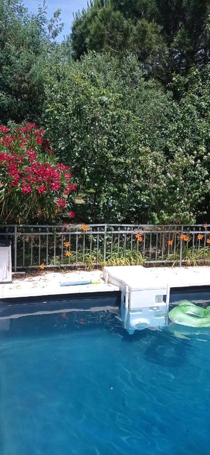 2 Chambres Et Salle De Bain Un Oasis De Bien Etre Piscine Et Jardin Direct Gare Aeroport Tolosa Esterno foto