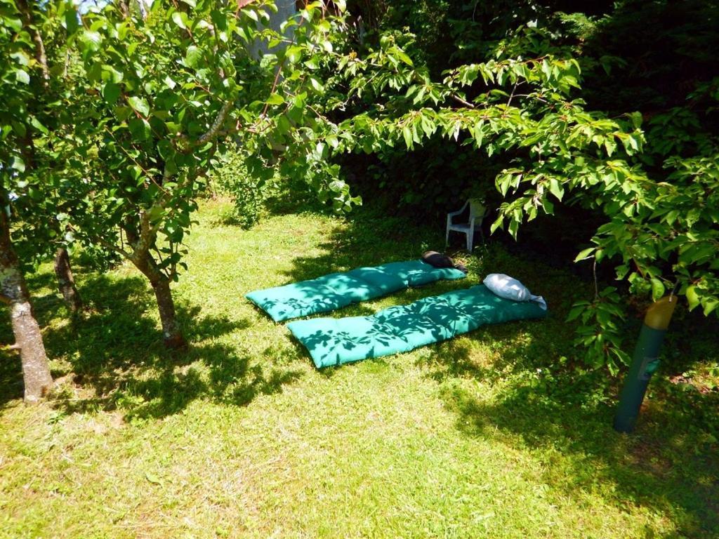 2 Chambres Et Salle De Bain Un Oasis De Bien Etre Piscine Et Jardin Direct Gare Aeroport Tolosa Esterno foto